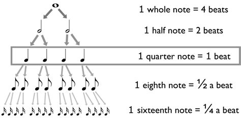 how long is a beat in music? the rhythm of life